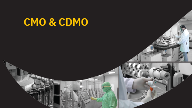 CMO & CDMO